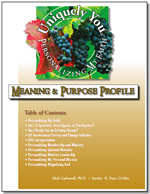 Meaning and Purpose Profile